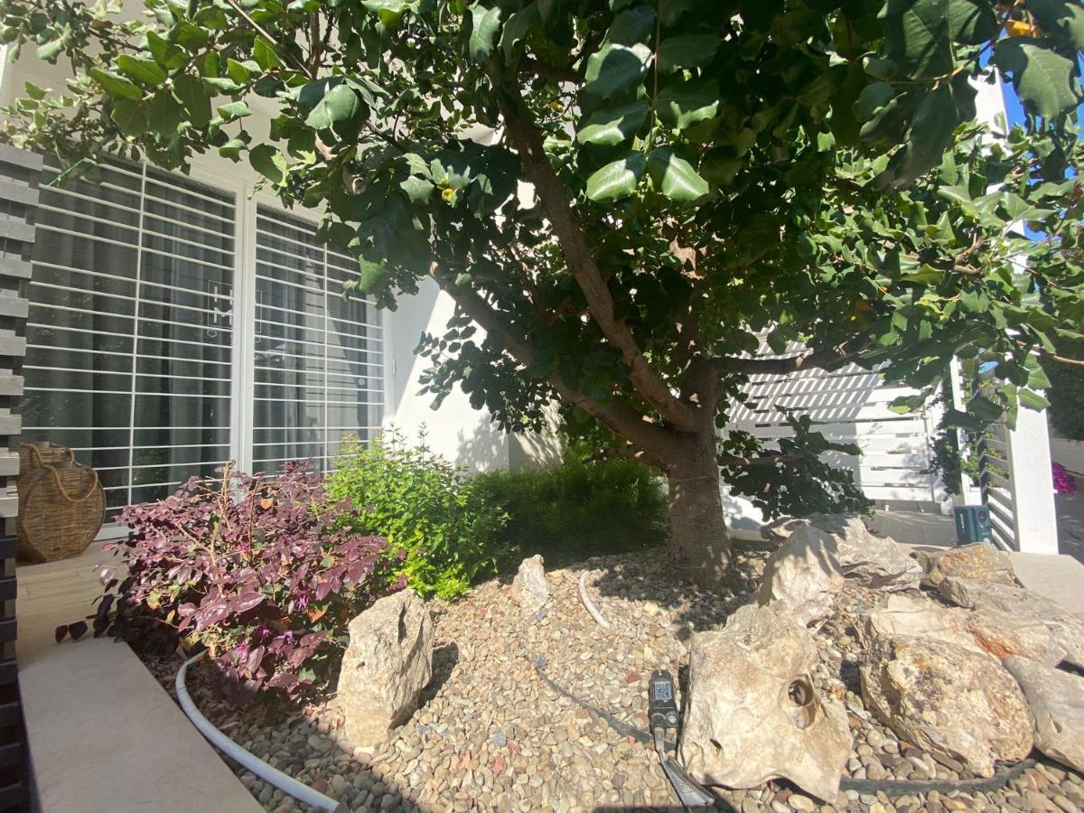 Home3 Bed Superior Room بيشيلي المظهر الخارجي الصورة